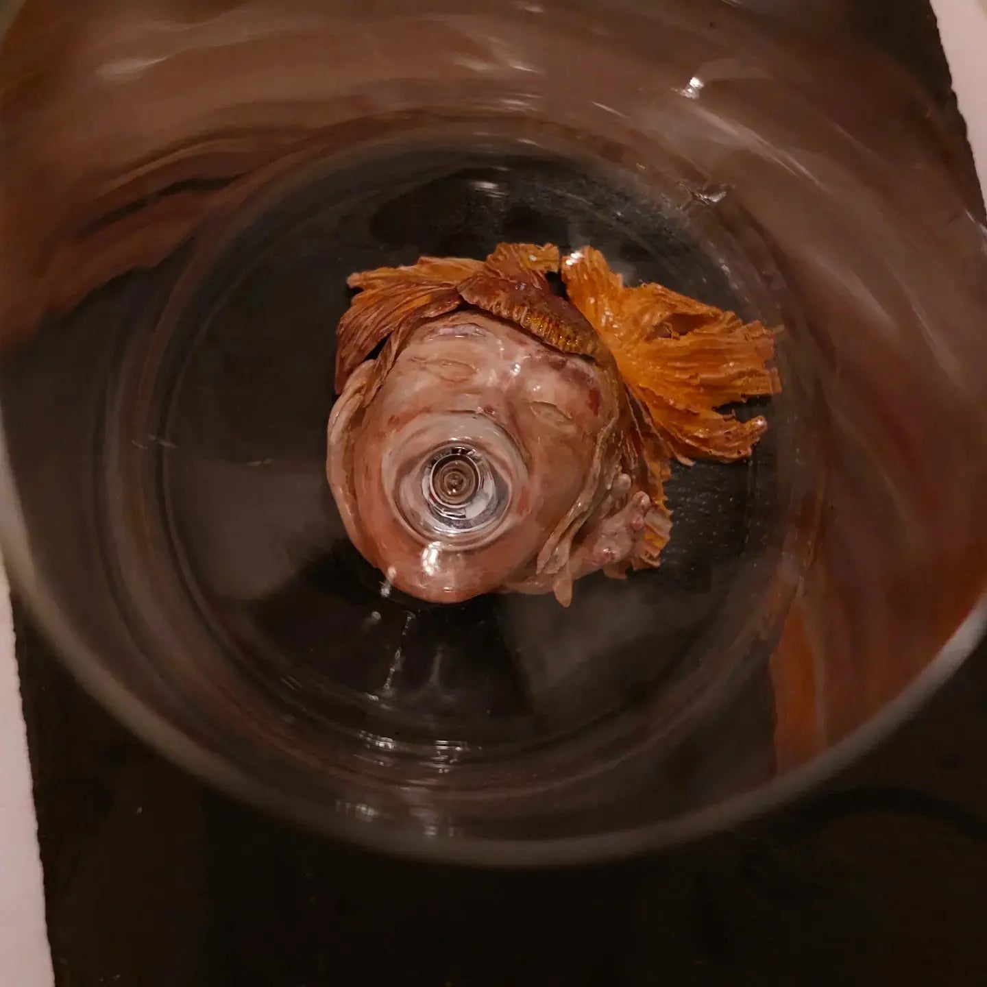 Ein Glas Weinfontäne