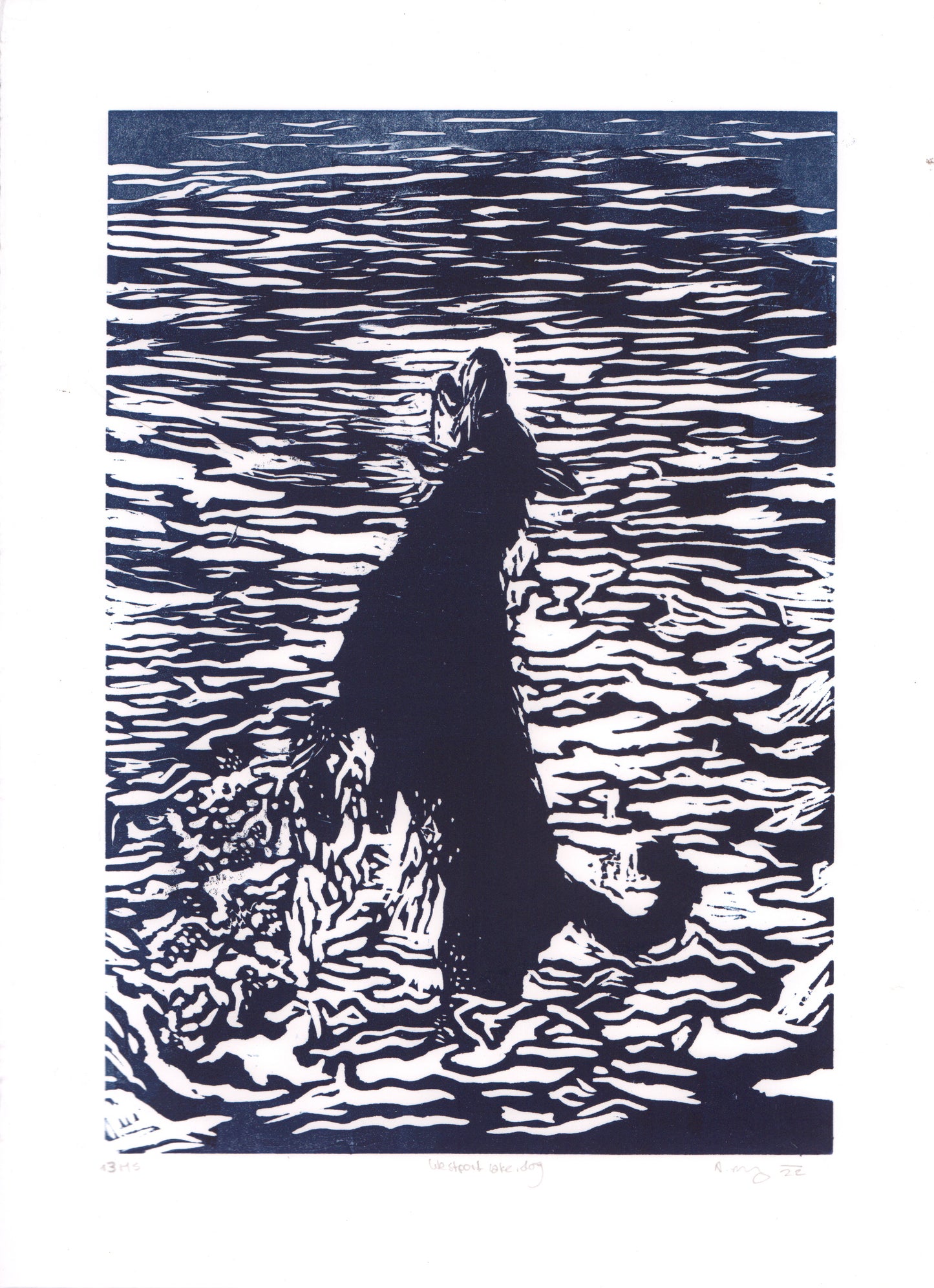 Dog at Westport Lake