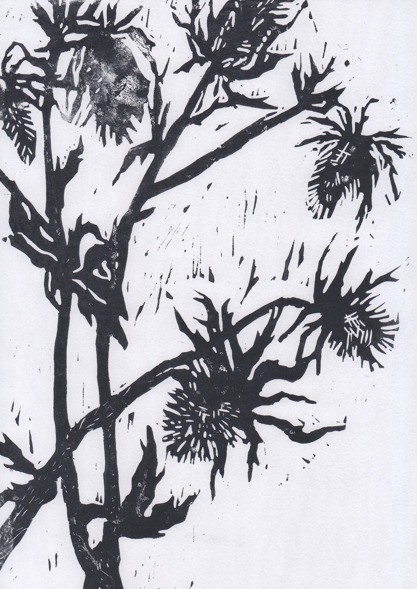 linocut