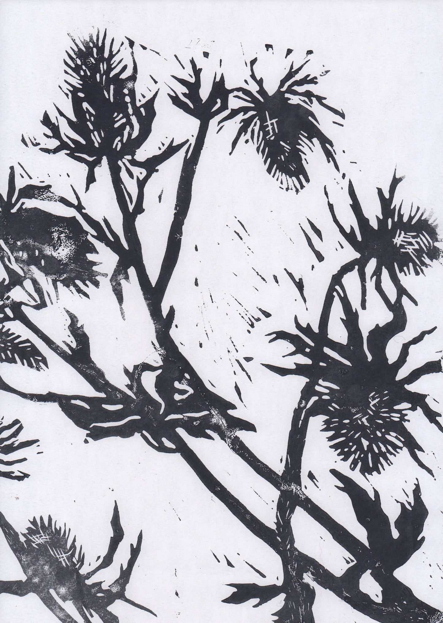 linocut
