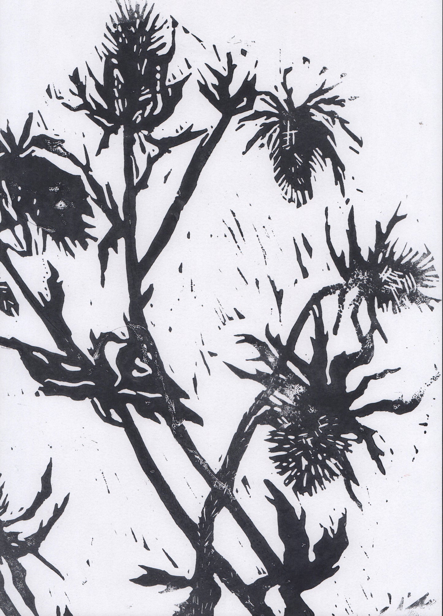 linocut