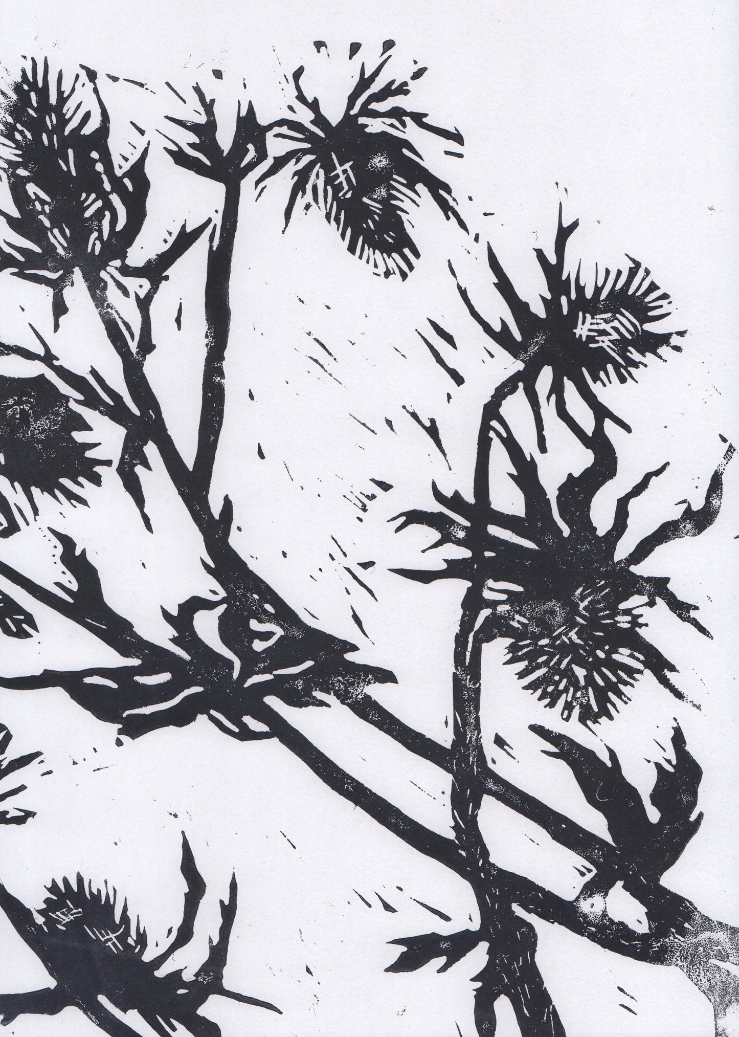 linocut